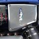 Illustration for article titled At $6,000, Could This 2006 Pontiac GTO Get Your Goat?em/em